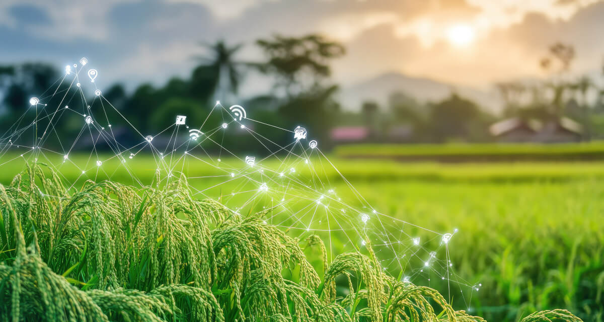 How AI is Rewriting the Agri-Input Supply Chain in India