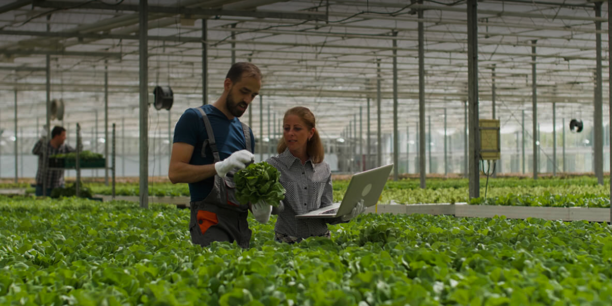 AI in Agriculture Is Here — But Is the Data Ready?